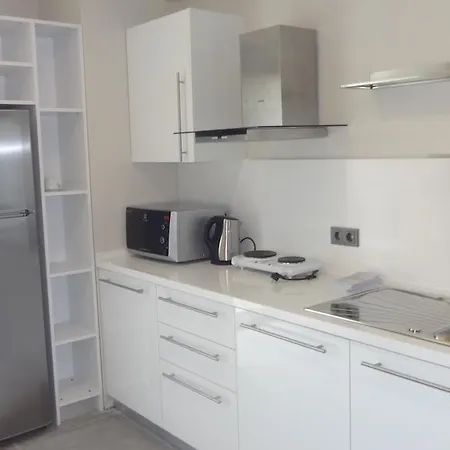 Altin Yunus Apart Beach Plus Кешме